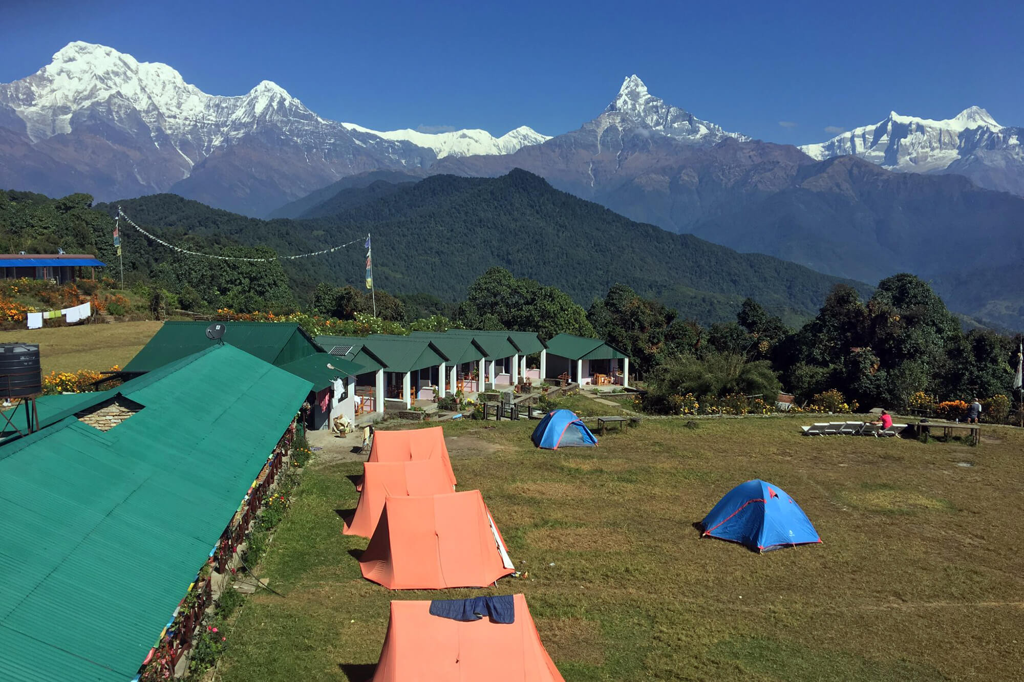 From Heritage to Nature: Explore Kathmandu, Pokhara, and Chitwan
